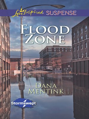 cover image of Flood Zone